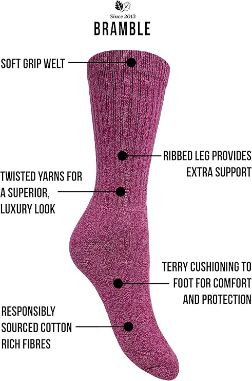 Bramble - Ladies All Terrain Socks with Biome Linseed | 3 Pairs - Image 2