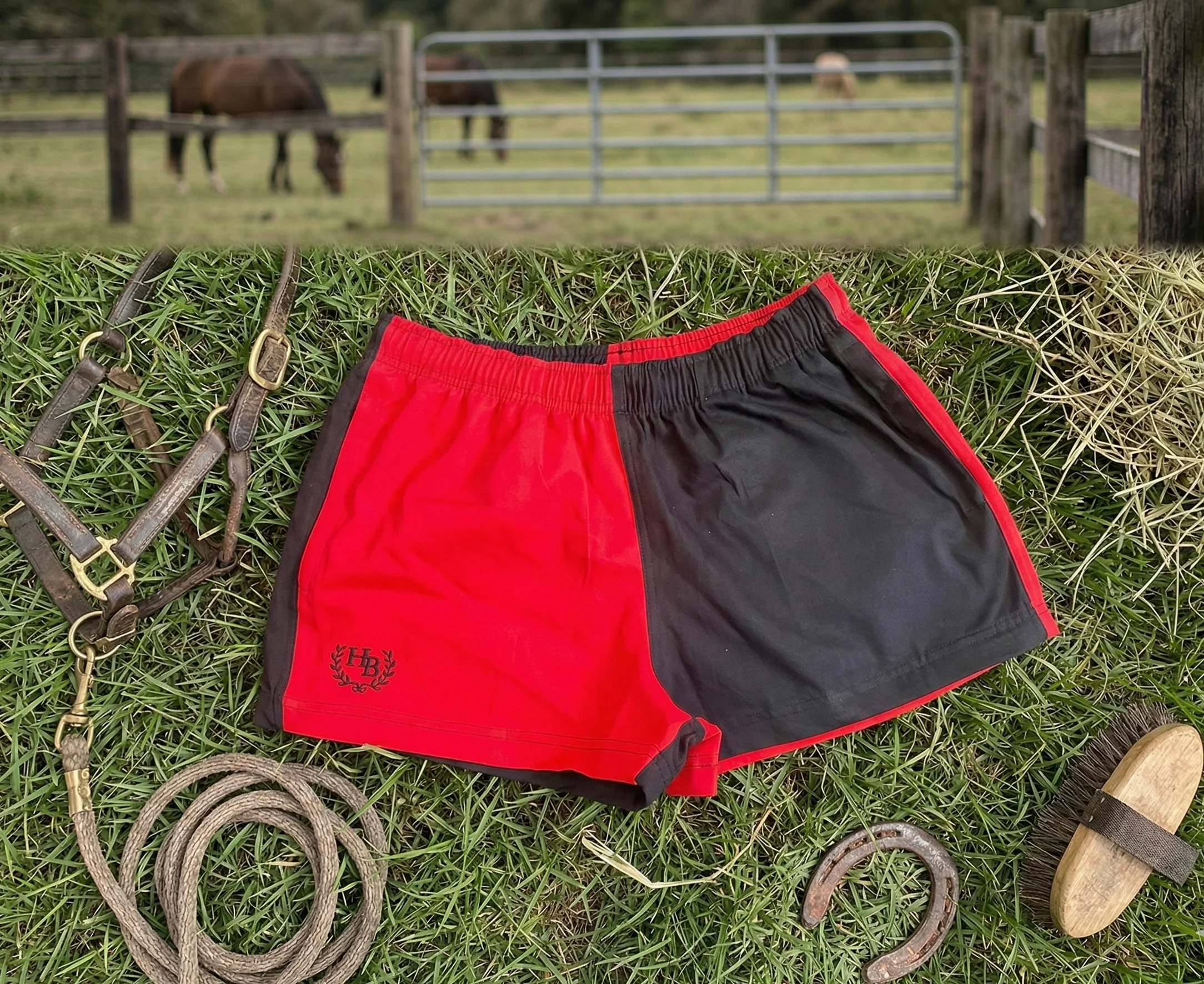 Hazy Blue Nelson Colour Block Shorts - Unisex - Image 6