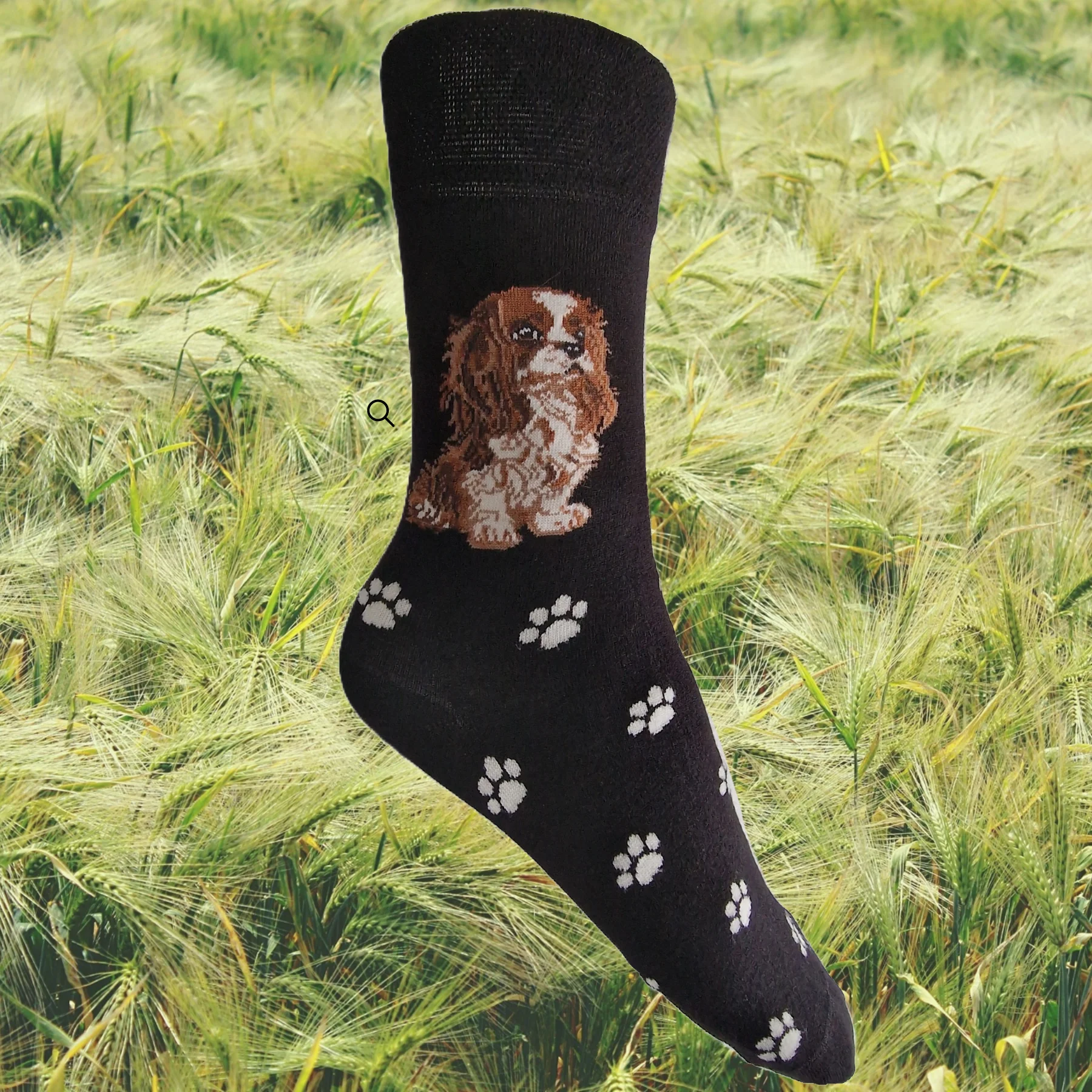 Hazy Blue Dog Socks Bamboo Blend Size 4 to 8 - Image 10