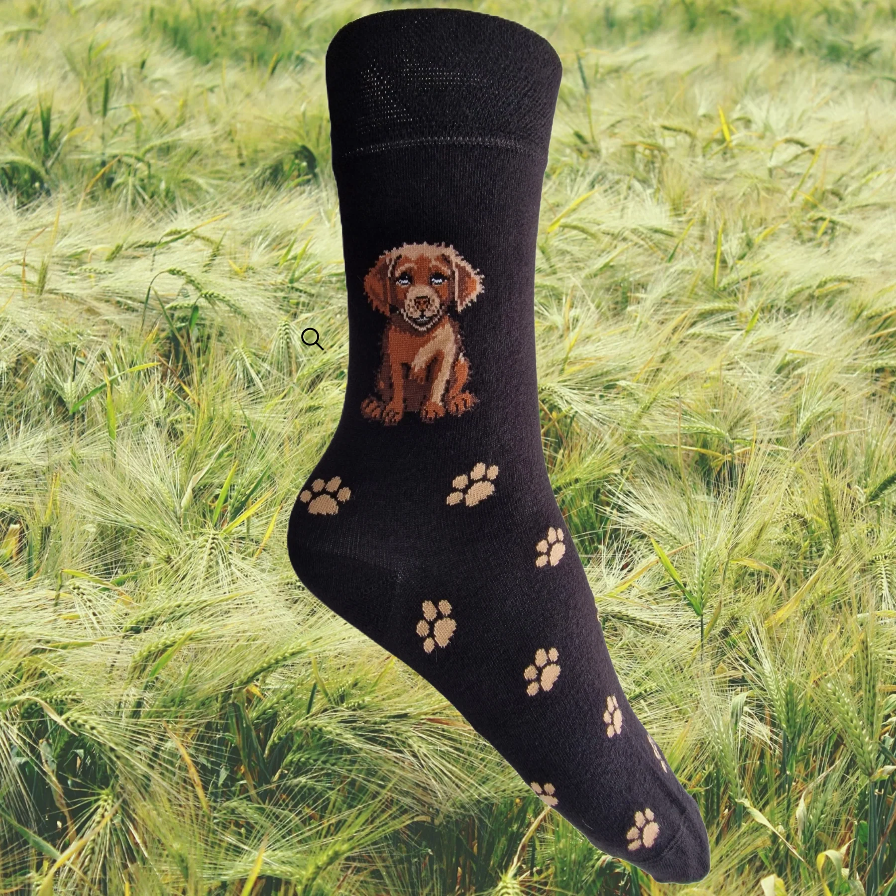 Hazy Blue Dog Socks Bamboo Blend Size 4 to 8 - Image 13