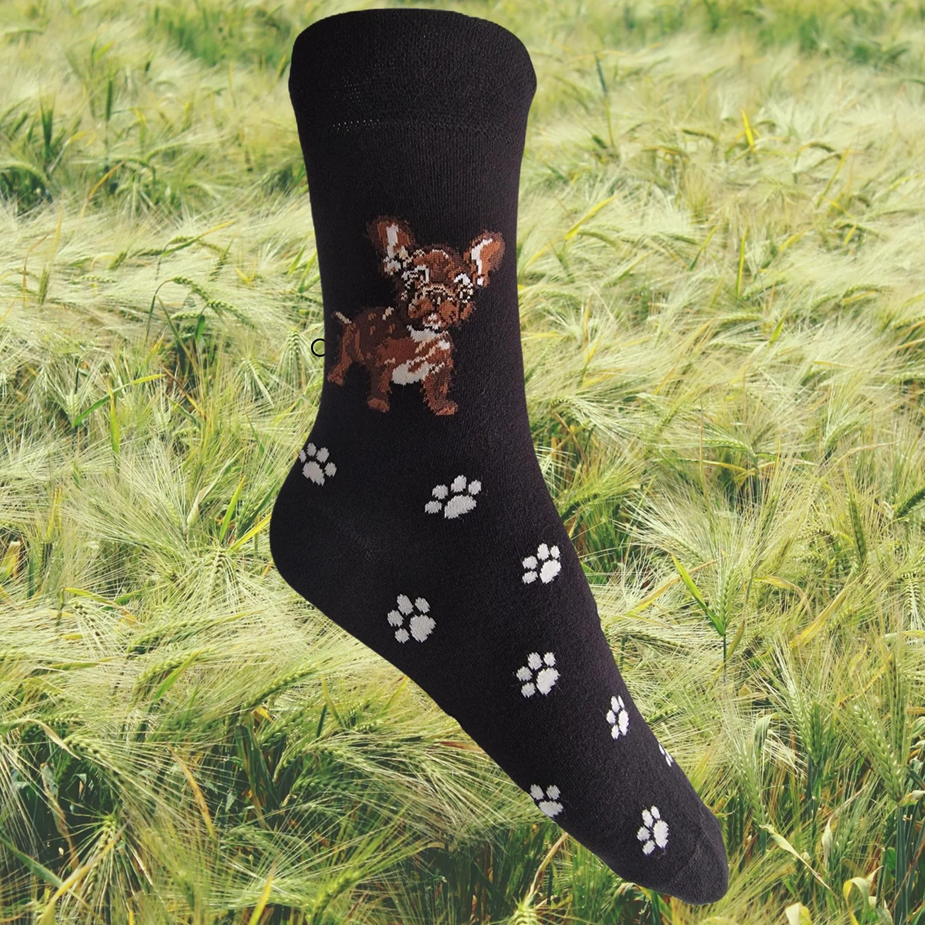 Hazy Blue Dog Socks Bamboo Blend Size 4 to 8 - Image 14