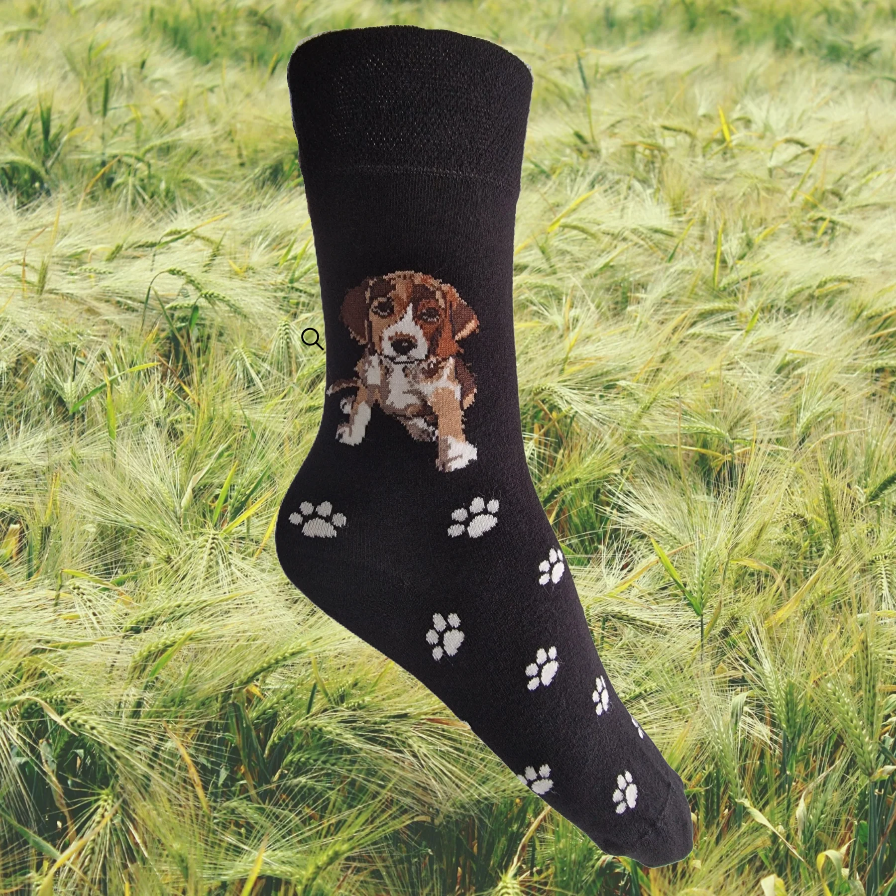 Hazy Blue Dog Socks Bamboo Blend Size 4 to 8 - Image 2