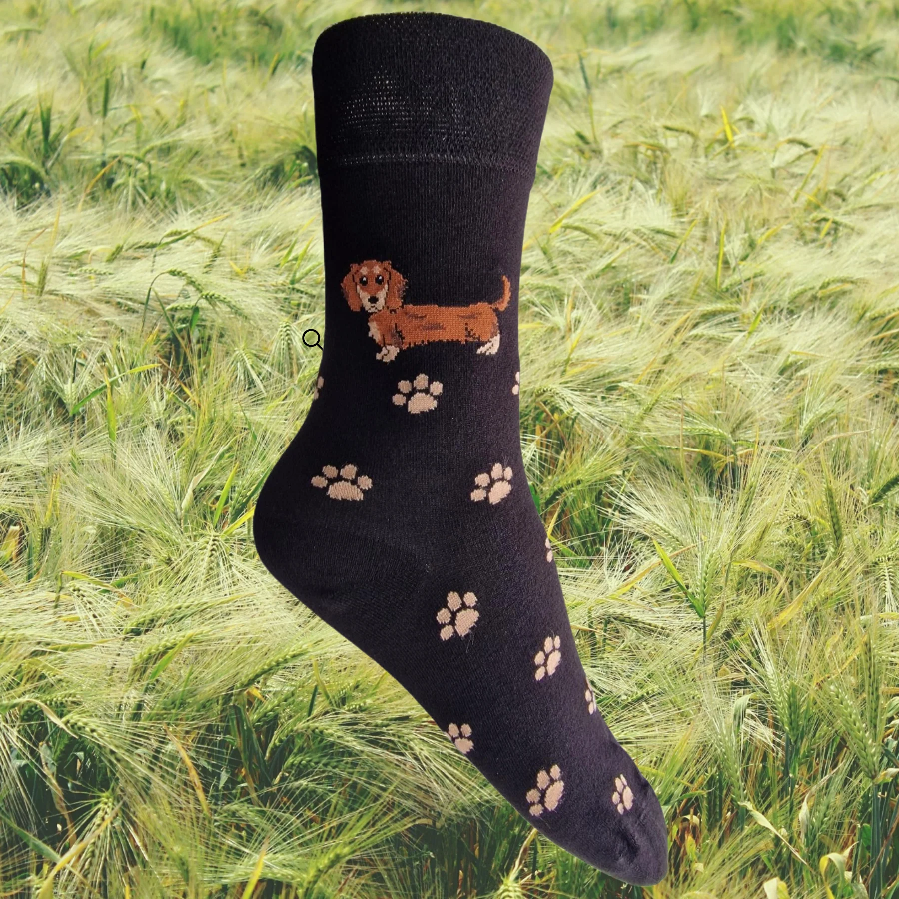 Hazy Blue Dog Socks Bamboo Blend Size 4 to 8 - Image 3