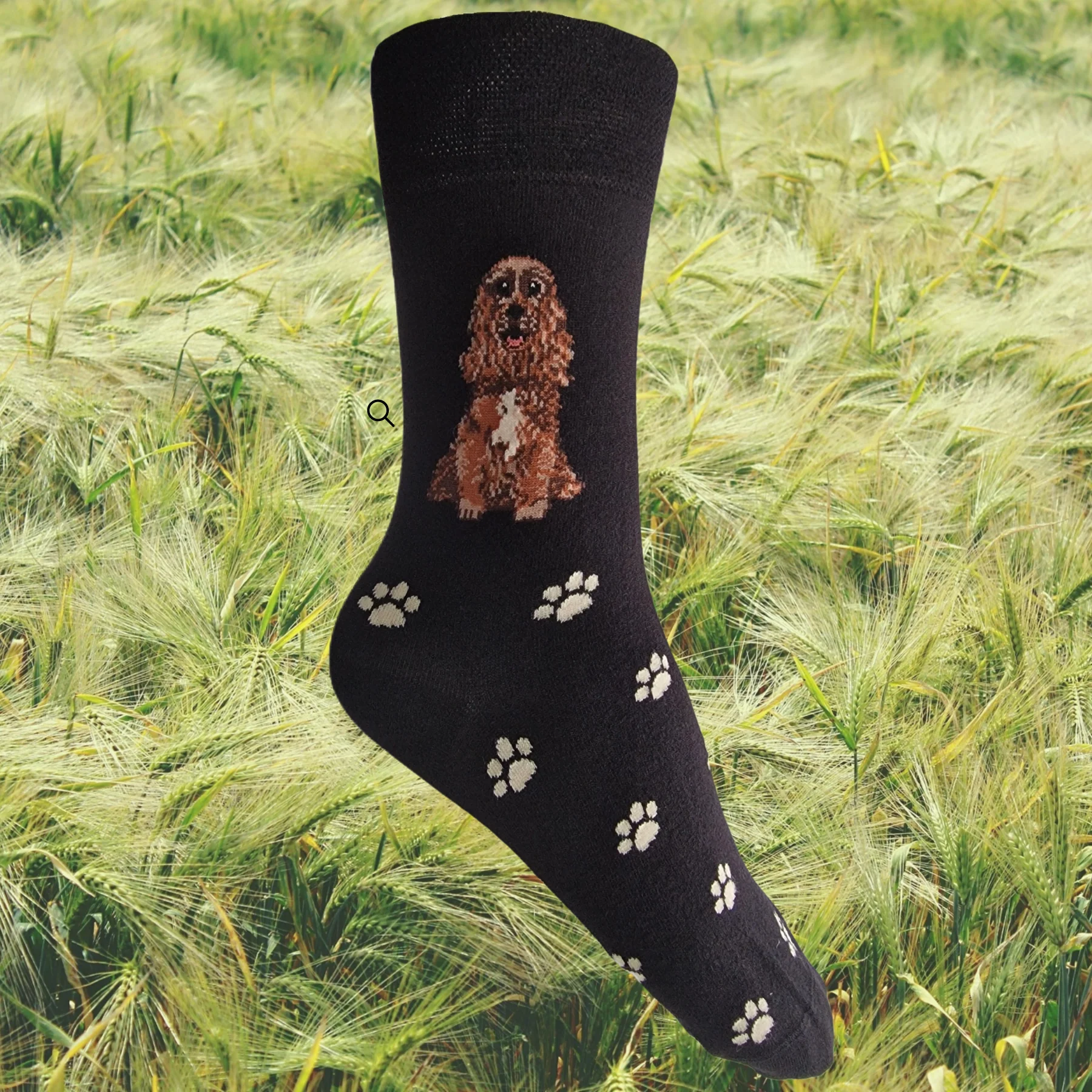 Hazy Blue Dog Socks Bamboo Blend Size 4 to 8 - Image 6