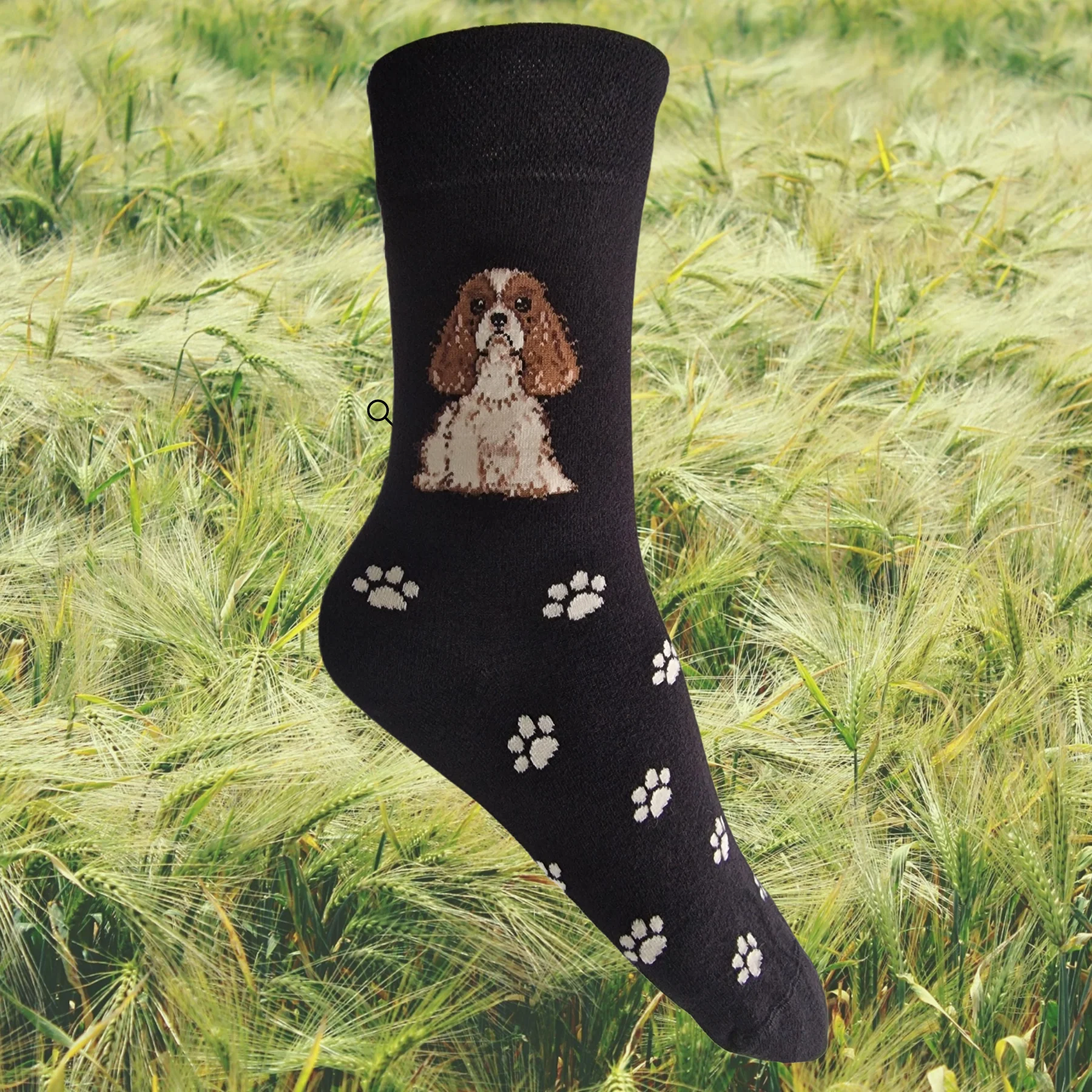 Hazy Blue Dog Socks Bamboo Blend Size 4 to 8 - Image 7