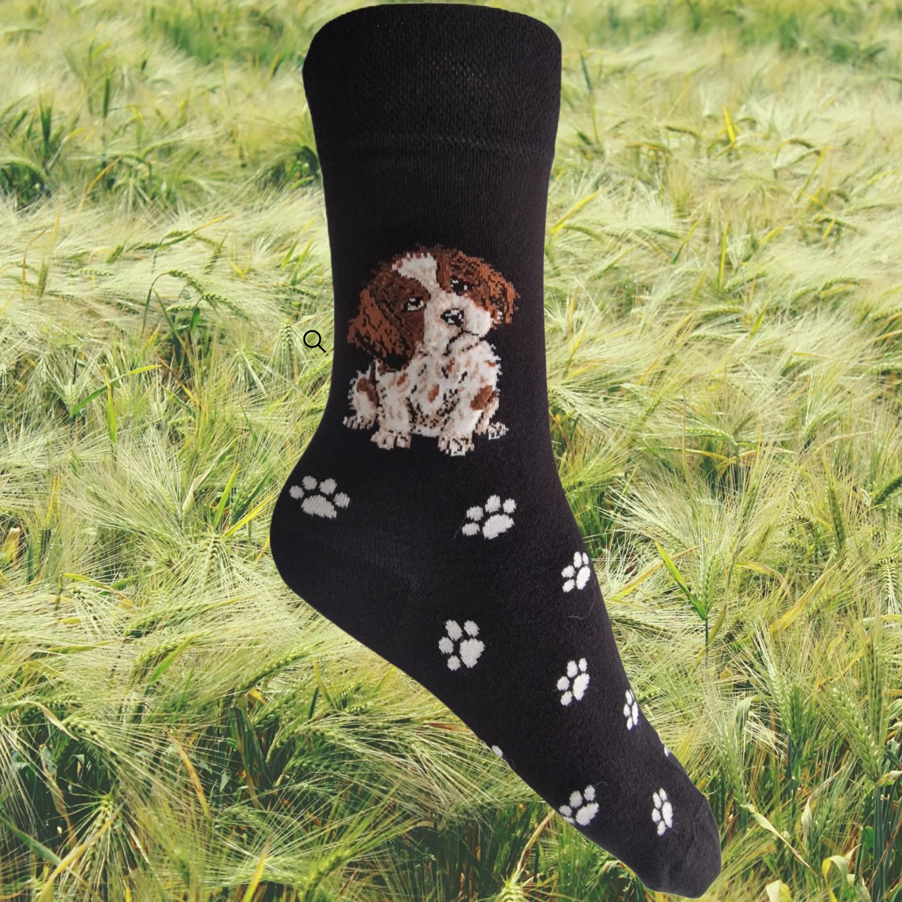 Hazy Blue Dog Socks Bamboo Blend Size 4 to 8 - Image 9