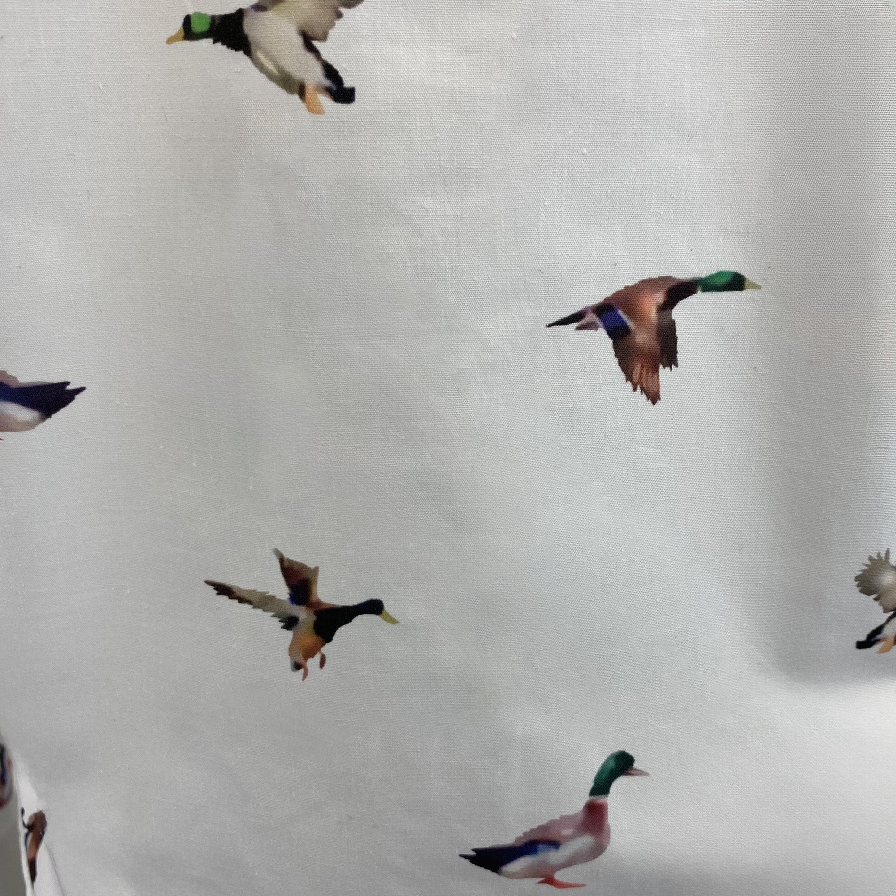 Hazy Blue Womens Long Sleeve Duck Shirt - Camila - Image 5