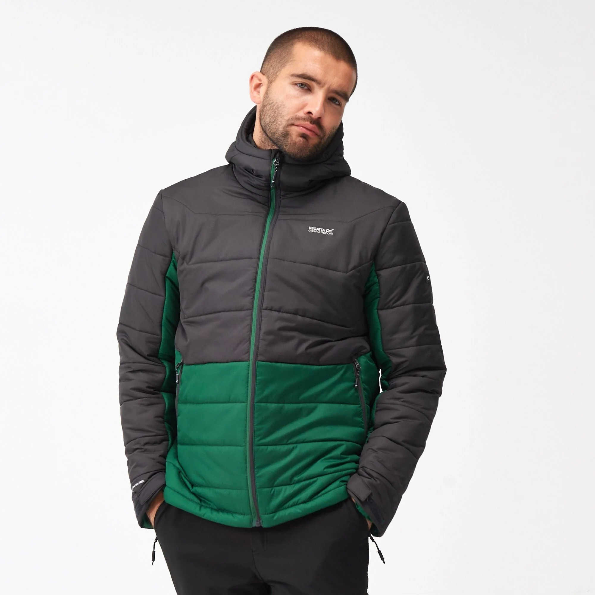 Regatta Men's Nevado VI Puffer Jacket - Image 8