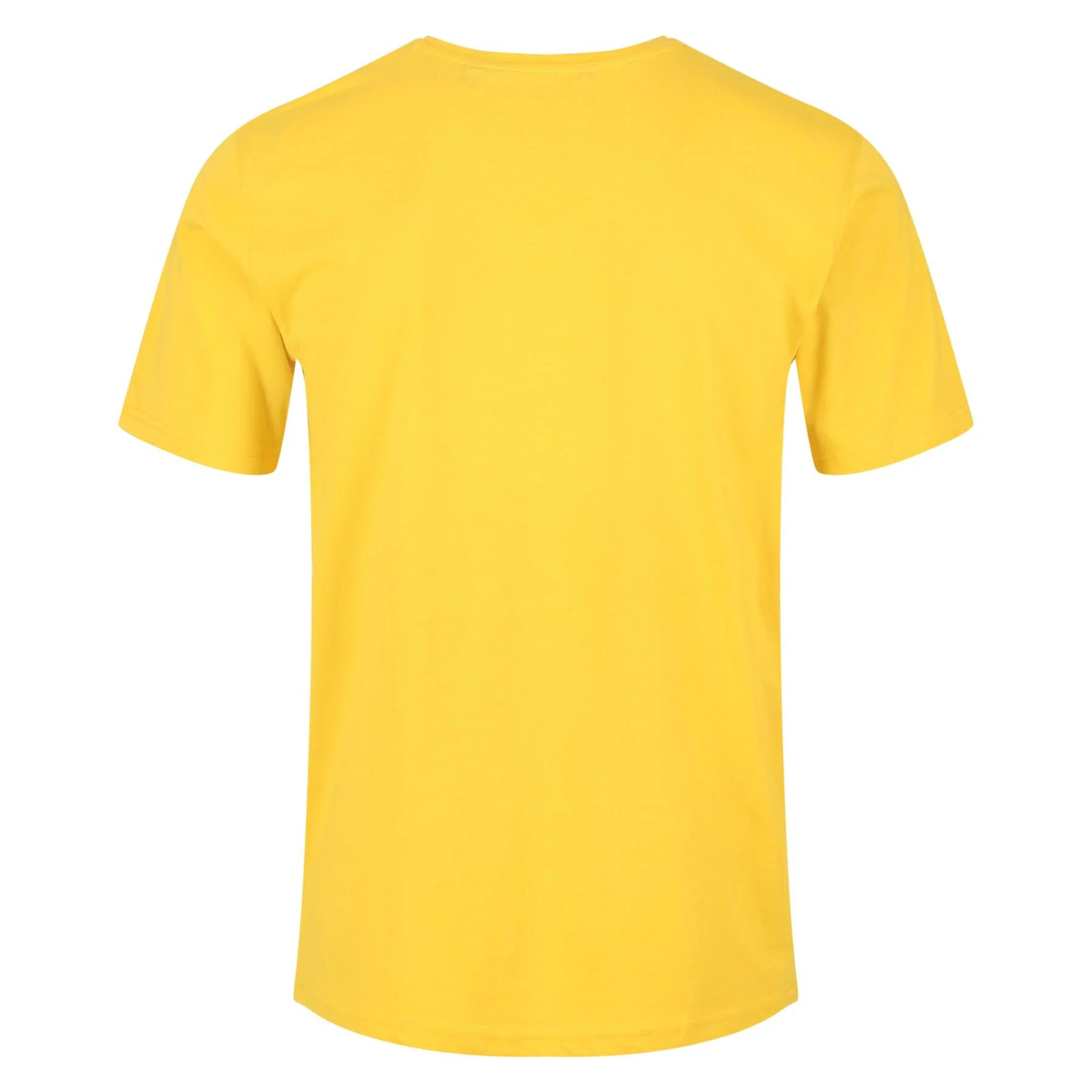 Regatta Men's Tait Lightweight Active T-Shirt - Image 30