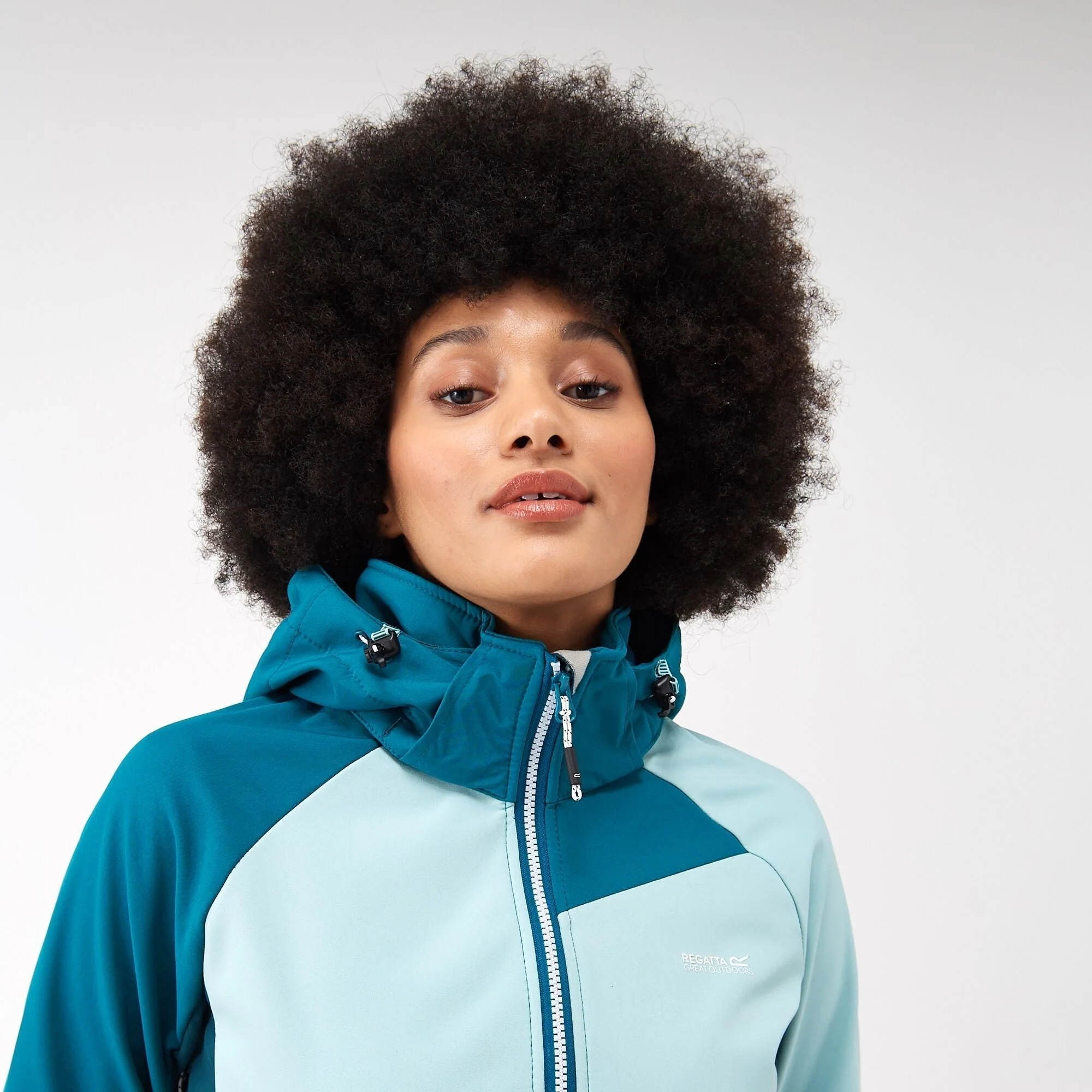 Regatta Women's Desoto IX Softshell Jacket - Image 14