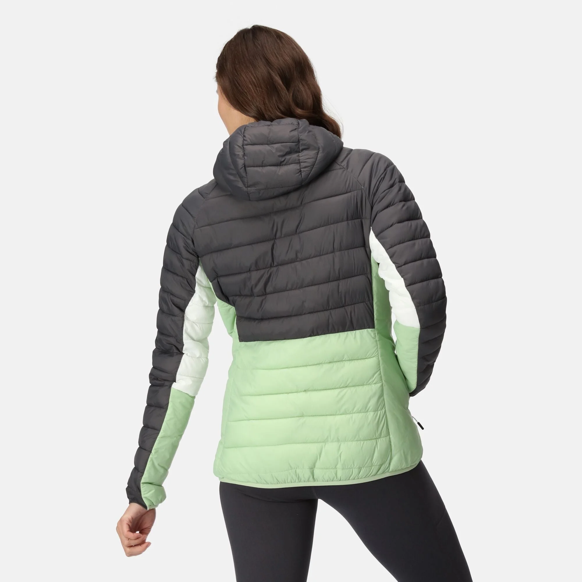 Regatta Women's Harrock II Baffled Jacket - Image 12