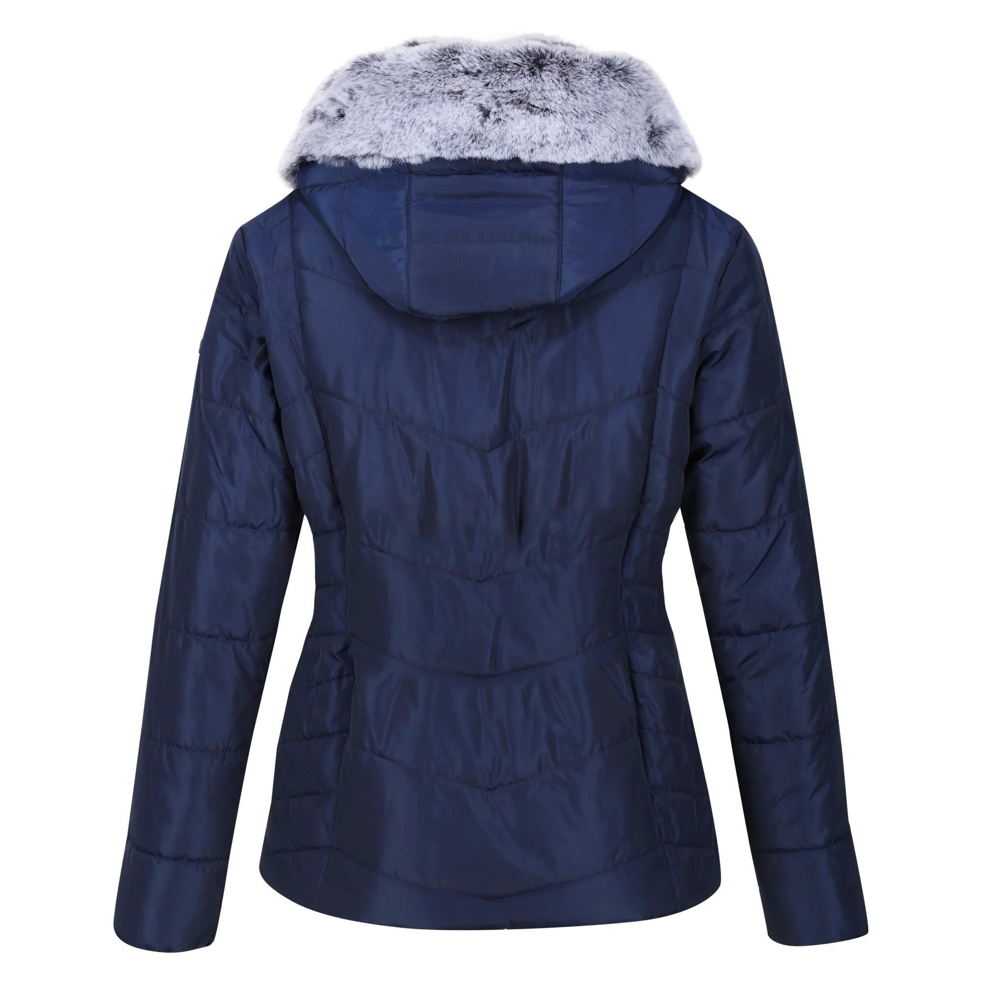 Regatta Women's Wildrose Baffled Jacket - Image 12