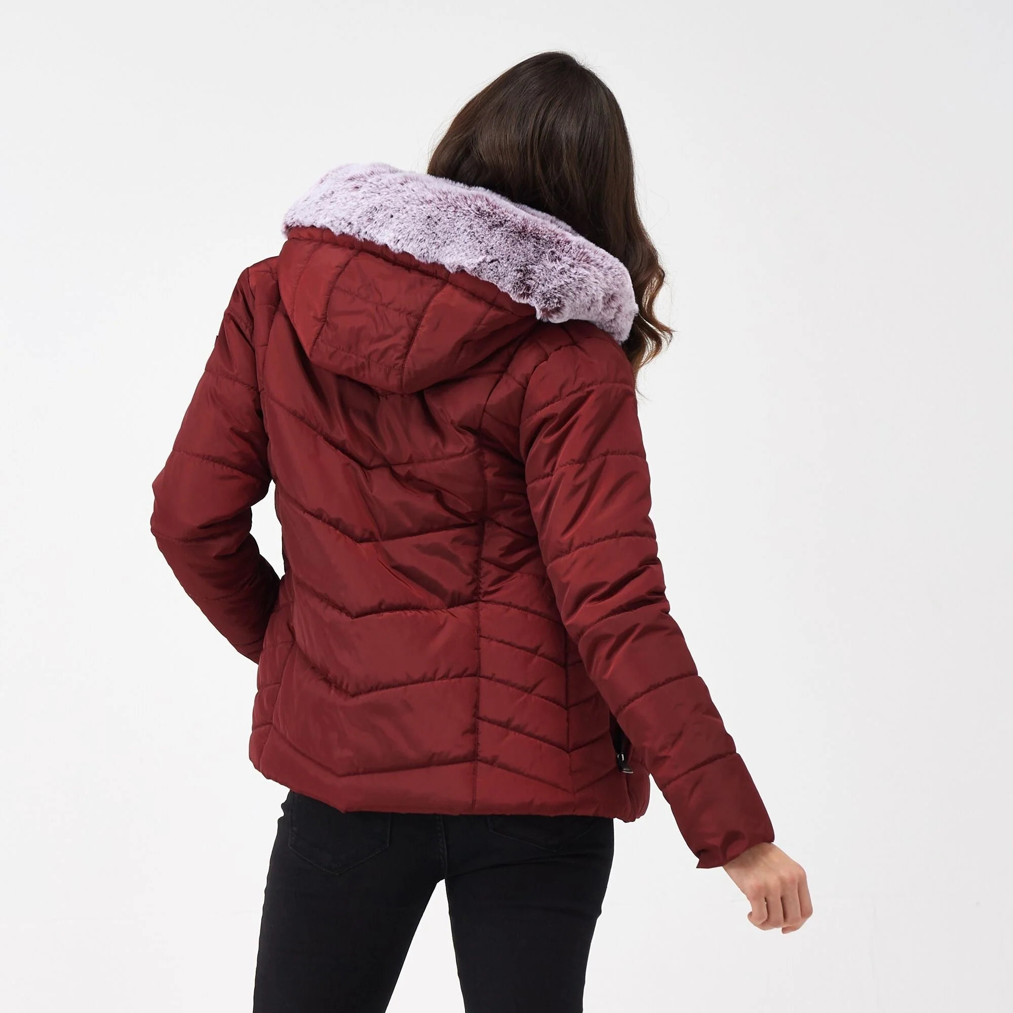 Regatta Women's Wildrose Baffled Jacket - Image 2